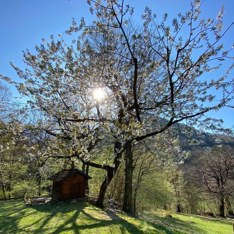 Baita Eleonora Argegno Exterior foto